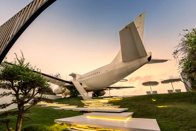 The tail lit against a sunset sky